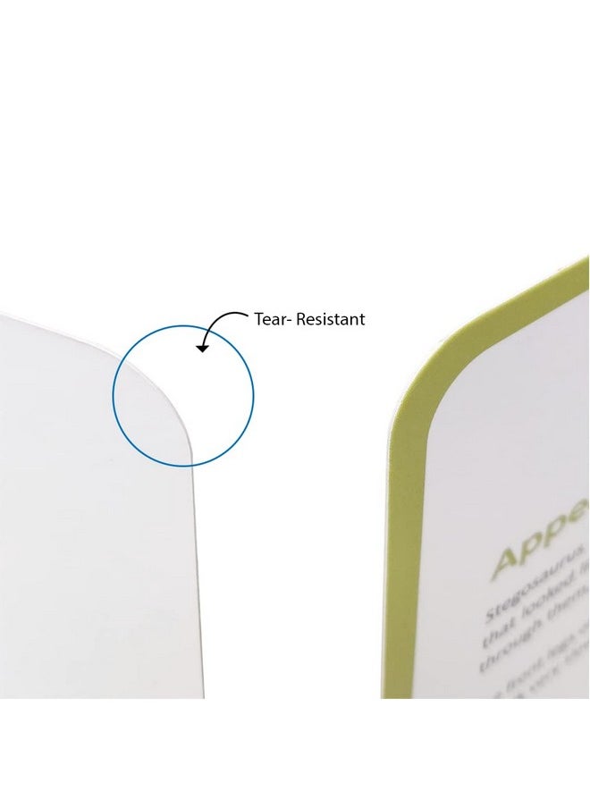 Artboard Dinosaurs - Learning Flash Card Set, Multicolour, 8 Months To 8 Years, 10 Cards