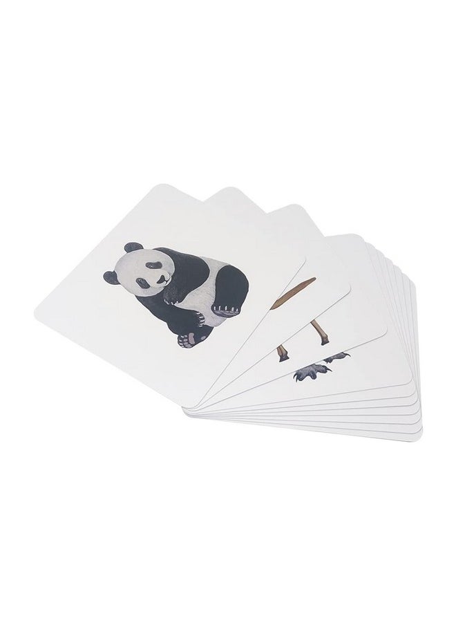 Quantum Flashcards, Mammals - Learning Flash Card Set 1 For Toddlers And Kids (8 Months To 8 Years) For Memory And Brain Development