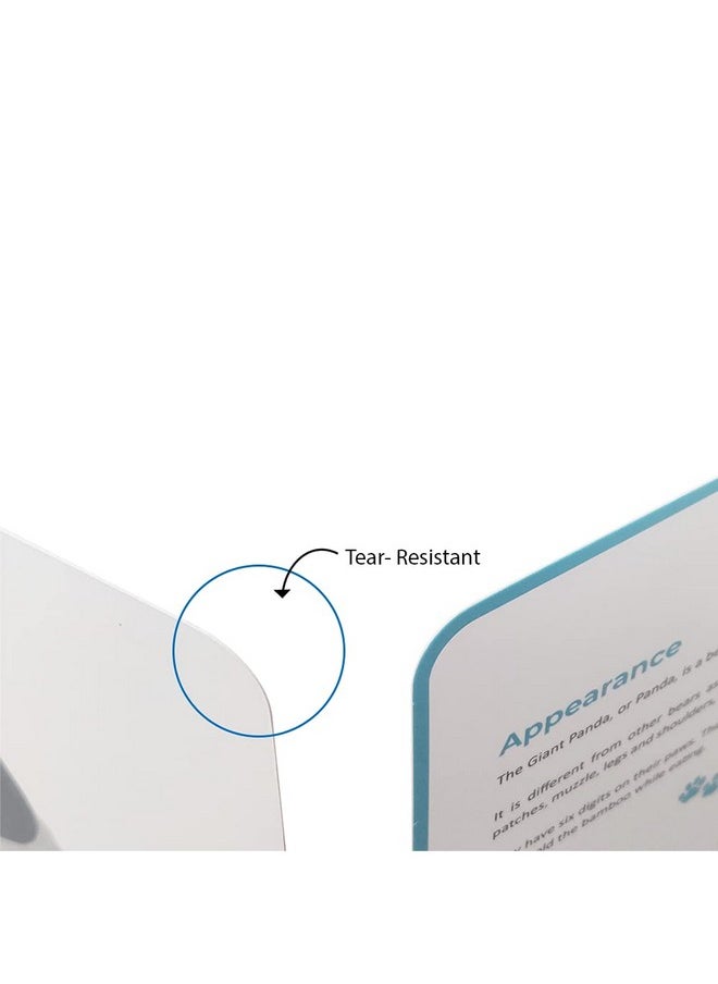 Quantum Flashcards, Mammals - Learning Flash Card Set 1 For Toddlers And Kids (8 Months To 8 Years) For Memory And Brain Development