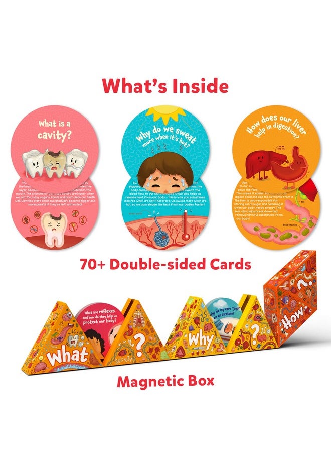 Flash Cards - Science Snippets The Human Body, Learning Resources & Educational Toys For Boys & Girls, Gifts For Ages 7, 8, 9 & Up, 70+ Cards