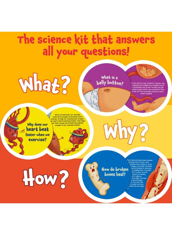 Flash Cards - Science Snippets The Human Body, Learning Resources & Educational Toys For Boys & Girls, Gifts For Ages 7, 8, 9 & Up, 70+ Cards