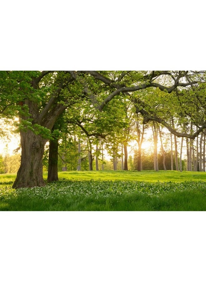 10X7Ft Spring Backdrop Rural Forest Trees Backdrops For Photography Blooming Flowers Green Grassland Nature Vinyl Photo Background Kids Adults Outdoor Travel Portraits Studio Props