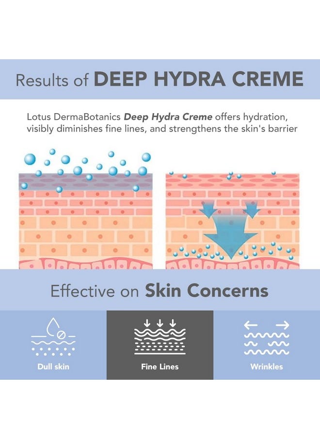 Dermabotanics Peptide + Papaya Extract Deep Hydra Cream | Boosts Collagen, Protects From Pre-Mature Ageing | Made With Dermatologists | Non-Irritating | Ph 5.5 | Normal To Combination Skin | 50G