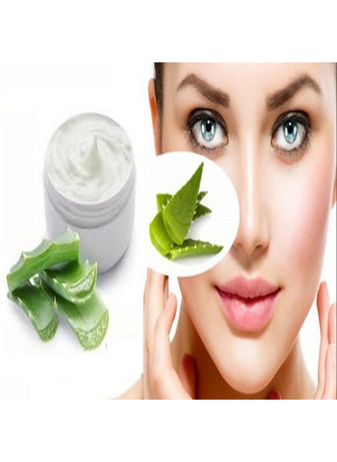 Combo Of Aloe Vera Gel 1Kg & Olive Carrier Oil 15Ml - 100% Pure & Natural For Skin, Face, Acne Scars, Hair, Moisturizer & Dark Circles (Combo Of 2)