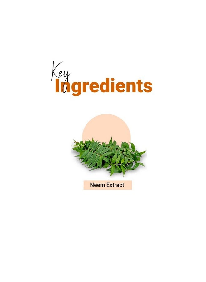 Neem & Brahmi Disinfecting Face Wash Helps To Control Excess Oil, Acne & Pimple For Refreshed Skin, Valentine Gifts, (Pack Of 2), (120 * 2Ml)