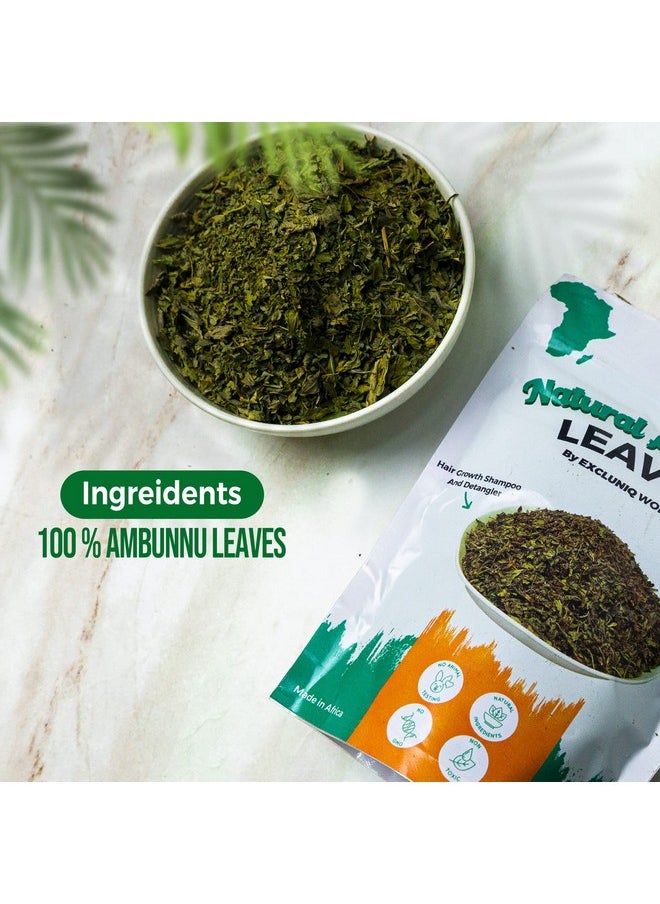 Natural Ambunnu Leaves By Excluniq World 50G Pack | Herbal Hair Detangler, Shampoo & Conditioner For Dry And Damaged Hair | African Traditional Scalp & Hair Care Remedy For Everyone. 1.80 Ounce Pack
