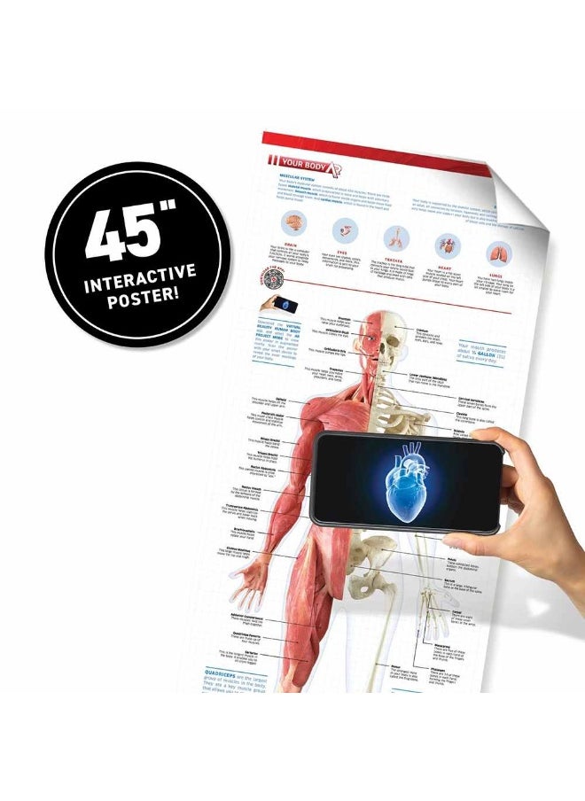 Vr Human Body Discovery Steam Interactive Activity Set With Dk Book