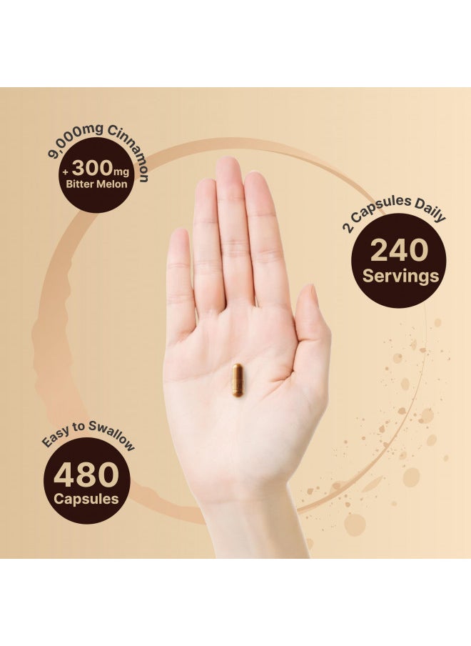 Naturebell 2 Pack Ceylon Cinnamon 9000Mg Per Serving, 480 Capsules | Made With Organic Sri Lanka Ceylon Cinnamon Plus Organic Bitter Melon Non Gmo, No Gluten