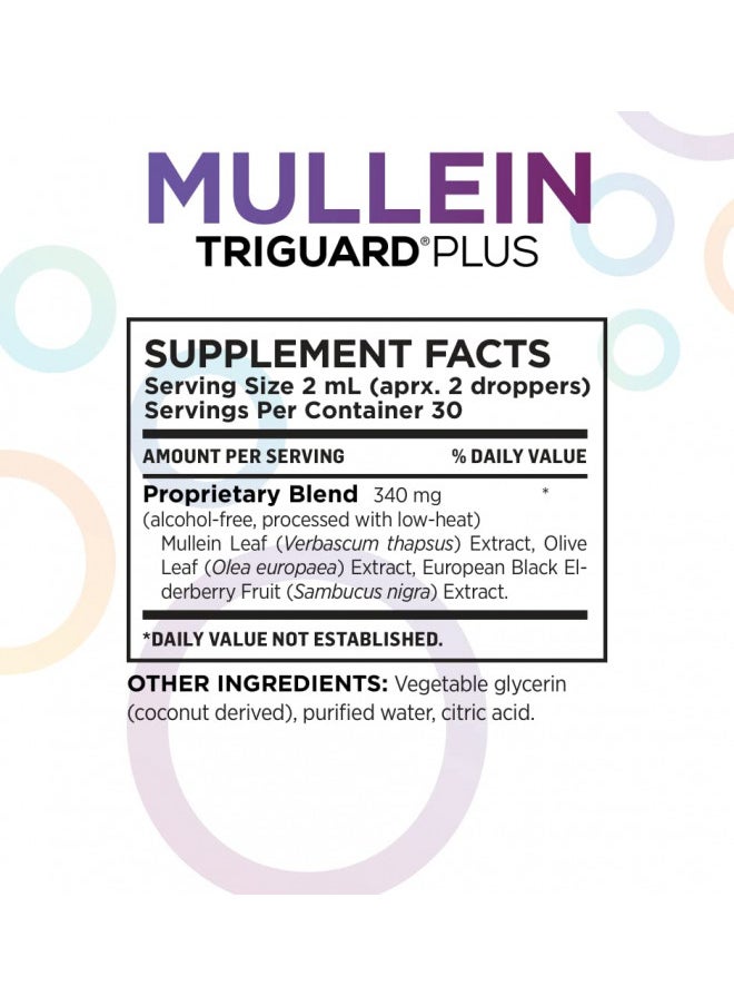 Triguard Mullein Plus   Mullein Leaf Extract, Elderberry Extract & Olive Leaf Extract 2 Fl Oz | Supports Healthy Respiratory Function & Immune System | Alcohol Free, Non Gmo, Tastes Great, Made In Usa
