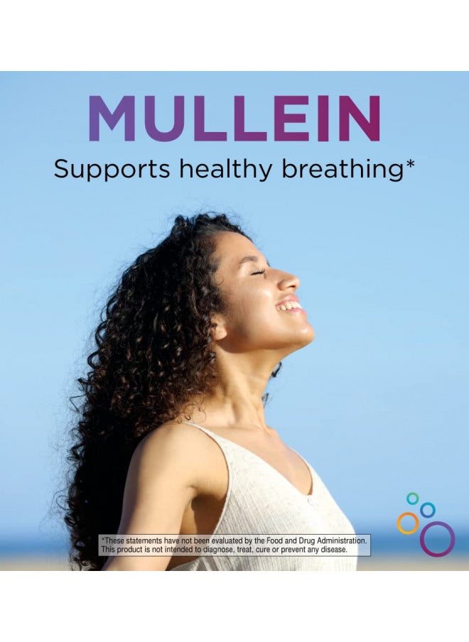 Triguard Mullein Plus   Mullein Leaf Extract, Elderberry Extract & Olive Leaf Extract 2 Fl Oz | Supports Healthy Respiratory Function & Immune System | Alcohol Free, Non Gmo, Tastes Great, Made In Usa