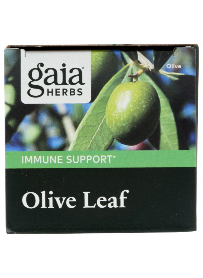 Gaia Herbs Olive Leaf   Traditional Immune Health Support   Immune System Supplement With Olive Leaf Extract and Oleuropein   60 Vegan Liquid Phyto Caps