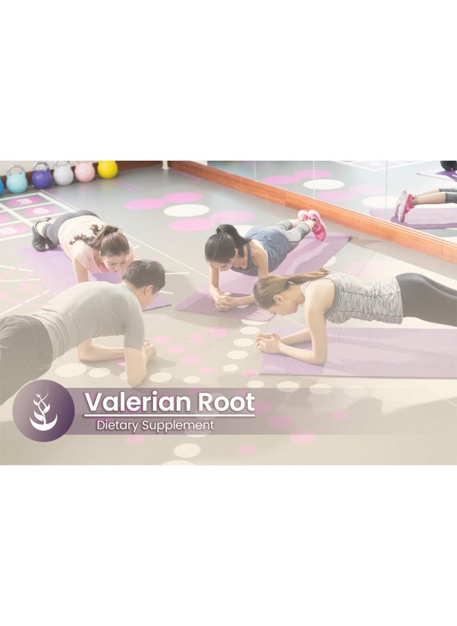 Pure Original Ingredients Valerian Root, (100 Capsules) Always Pure, No Additives Or Fillers, Lab Verified