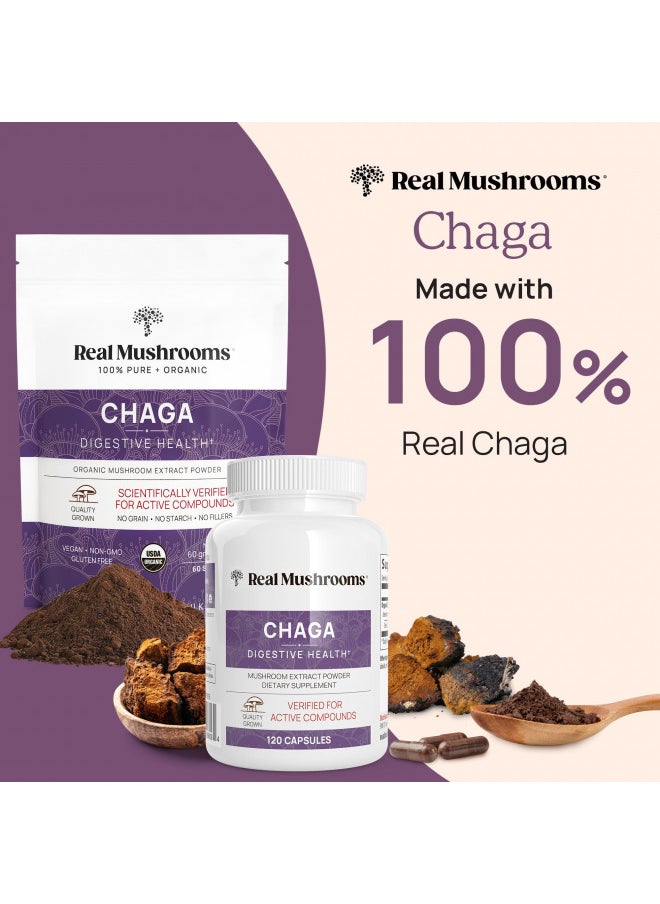 Real Mushrooms Chaga Capsules   Organic Mushroom Supplement With Chaga Extract   Chaga Mushroom Powder For Digestion, Energy, & Immune Support   Vegan Mushroom Extract, Non Gmo, 300 Caps