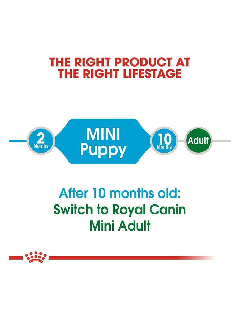 PUPPY MINI DOG DRY FOOD - 800 G