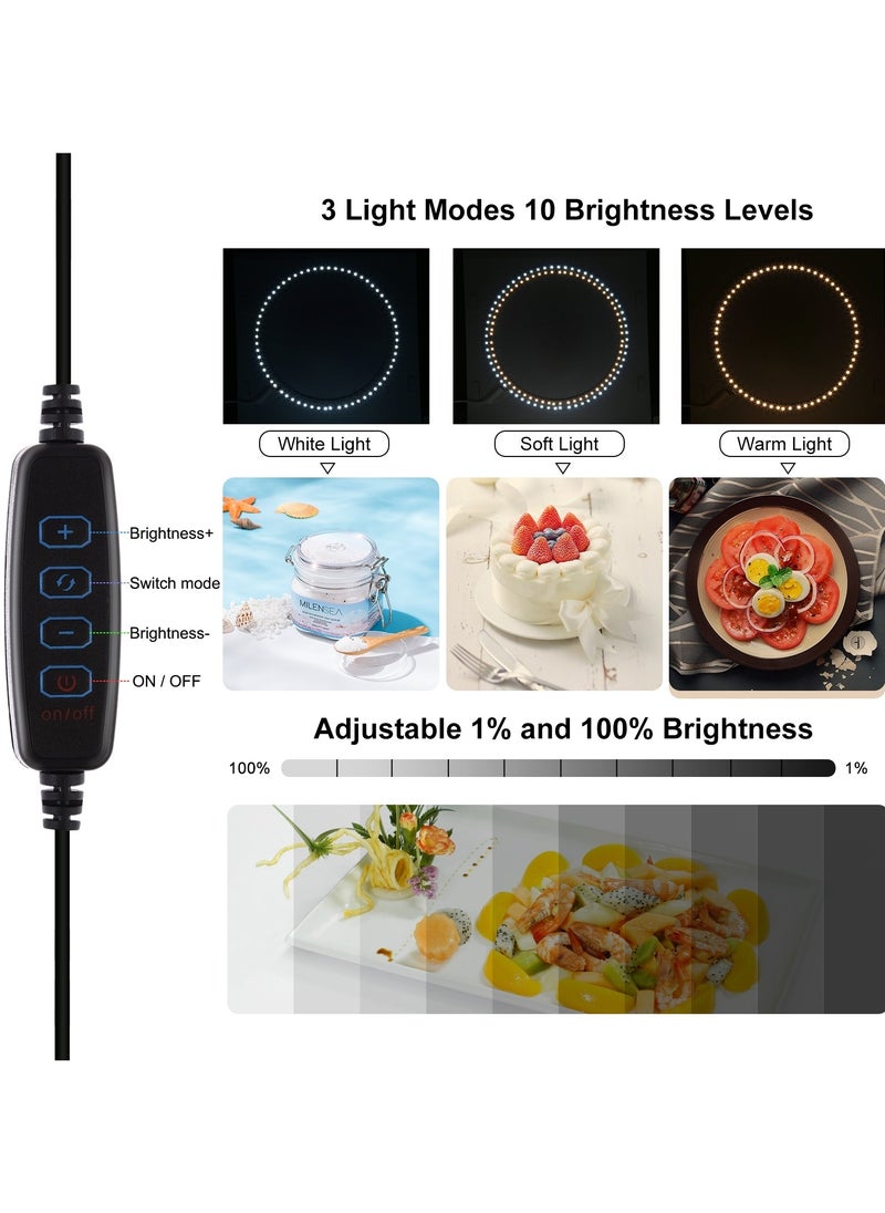 9.8Inch/25CM Photo Studio Box,  Mini Folding Lightbox LED Ring Light Portable Photo Studio Photography Shooting Tent Box Kit 12 Colors Backdrops USB Light Box for Phones DSLR Camera