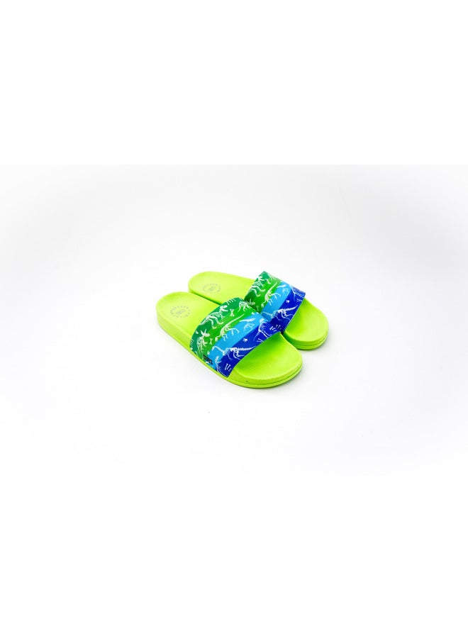 Dinosaur Print Everyday Wear Eco-Friendly Pvc Slides For Kids Lightweight Easy To Wash And Anti-Slip Soles