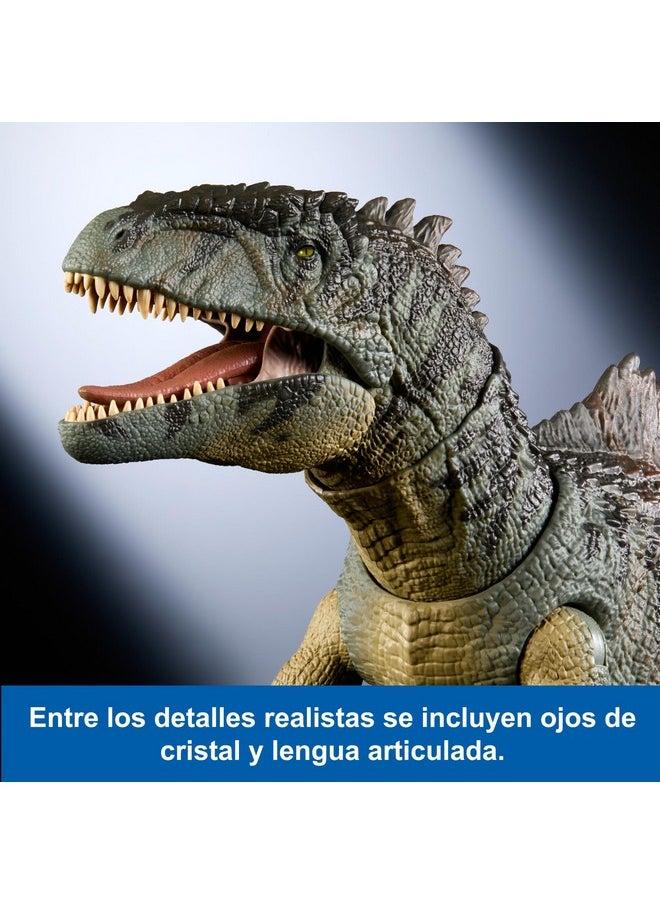 Jurassic World Dominion Hammond Collection Dinosaur Action Figure, Giganotosaurus Dino Toy With 21 Articulations, Glass Eyes, Wired Tail & Posable Tongue