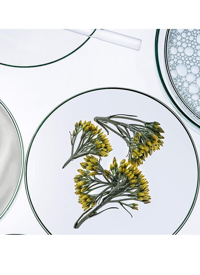 Collistar Anti-Age Cleansing Milk Face-Eyes, 8.4 Fl Oz, Made in Italy [italian import]