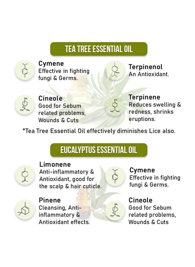Keya Seth Aromatherapy, Scalp Care Dandruff Removal Shampoo With Salicylic Acid, Tea Tree & Eucalyptus Oil -Reduces Dandruff & Flakes Itchy Scalp 200Ml