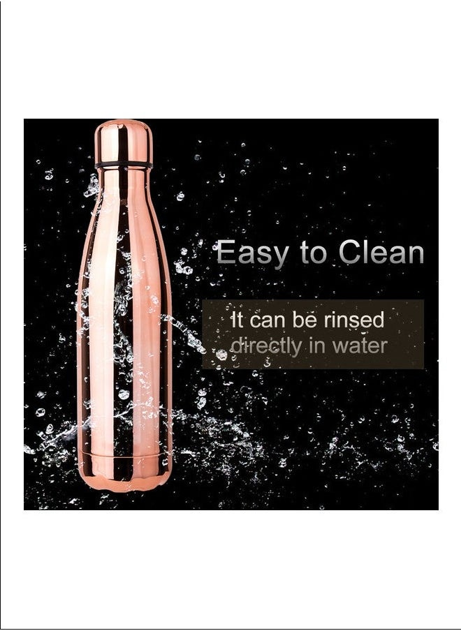 Stainless Steel  Vacuum Water Bottle