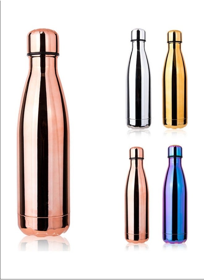 Stainless Steel  Vacuum Water Bottle