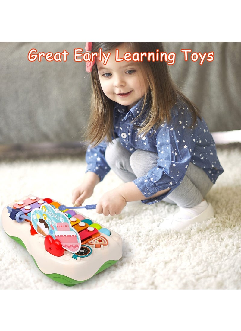 Baby Piano Toys, Toddler Musical Instruments Kids Multi-Function Piano, Early Educational Gift for 2 3 4 5 6 Year Old Boys Girls