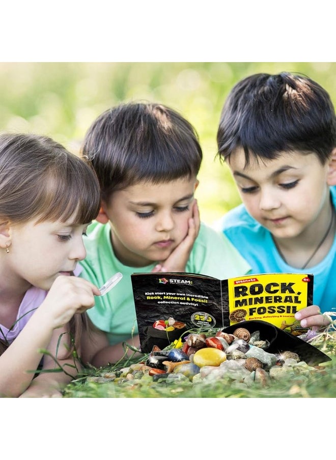 Rocks Minerals & Fossils Collection for Kids 250+ Real Gemstones and Crystals Rock Identification Kit Includes Display Case, Genuine Fossils, Geodes Great Geology, Science Gift for Boys & Girls