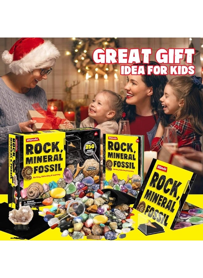 Rocks Minerals & Fossils Collection for Kids 250+ Real Gemstones and Crystals Rock Identification Kit Includes Display Case, Genuine Fossils, Geodes Great Geology, Science Gift for Boys & Girls