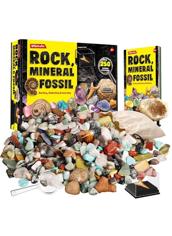 Rocks Minerals & Fossils Collection for Kids 250+ Real Gemstones and Crystals Rock Identification Kit Includes Display Case, Genuine Fossils, Geodes Great Geology, Science Gift for Boys & Girls