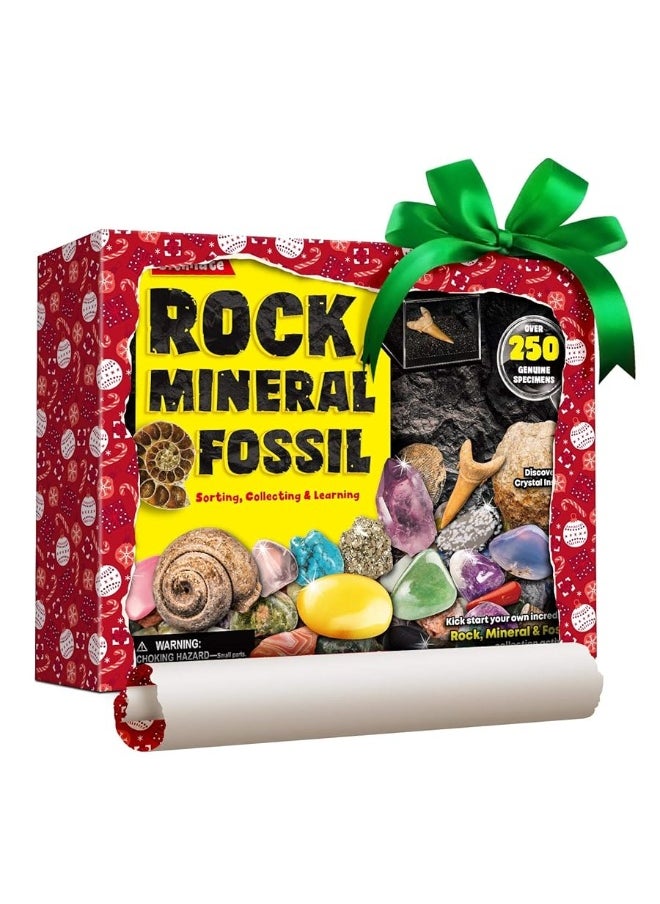 Rocks Minerals & Fossils Collection for Kids 250+ Real Gemstones and Crystals Rock Identification Kit Includes Display Case, Genuine Fossils, Geodes Great Geology, Science Gift for Boys & Girls