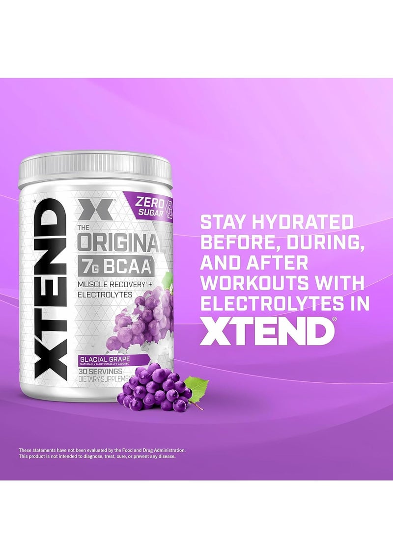 XTEND Original BCAA Glacial Grape – 7g BCAA for Muscle Recovery & Hydration (30 Servings, Zero Sugar)