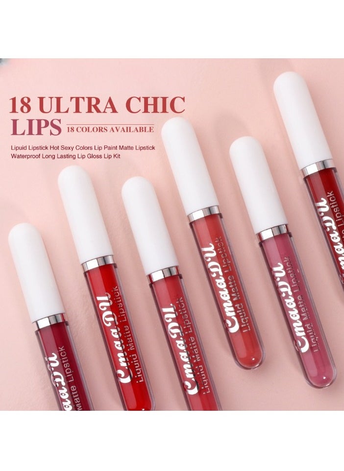 1pc Liquid Lipstick Lip Gloss, Waterproof Nude Lipstick, Non Fade Long Lasting Color Matte, Natural Formula Hydrating Lip Liner Pens for Multiple Occasions, (Color Matte Lip Gloss_05)