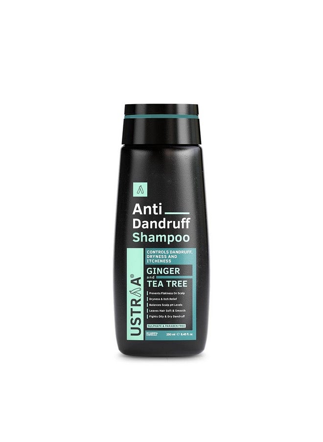 Anti-Dandruff Shampoo 250Ml - With Climbazole, Ginger & Tea Tree Oil, Controls Dandruff, No Sulphates, No Parabens, No Silicone, No Mineral Oil