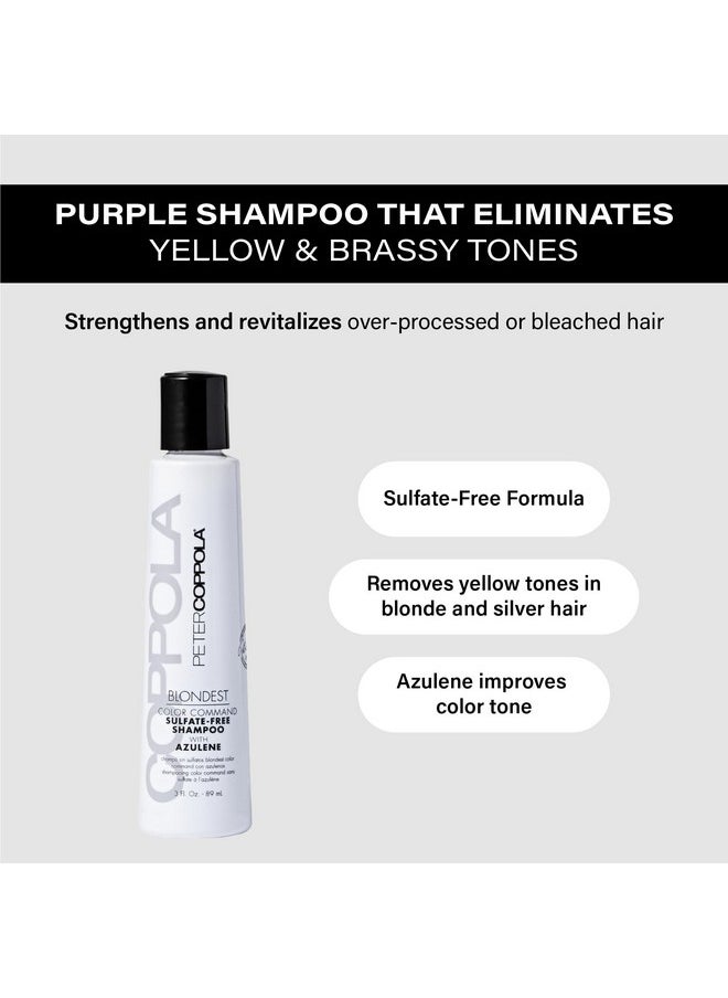 Purple Shampoo For Blonde Hair - Sulfate-Free Eliminates Brassy Yellow Tones - Strengthens Processed And Dry Hair - Keratin Protein - For Daily Use (3 Fl Oz)
