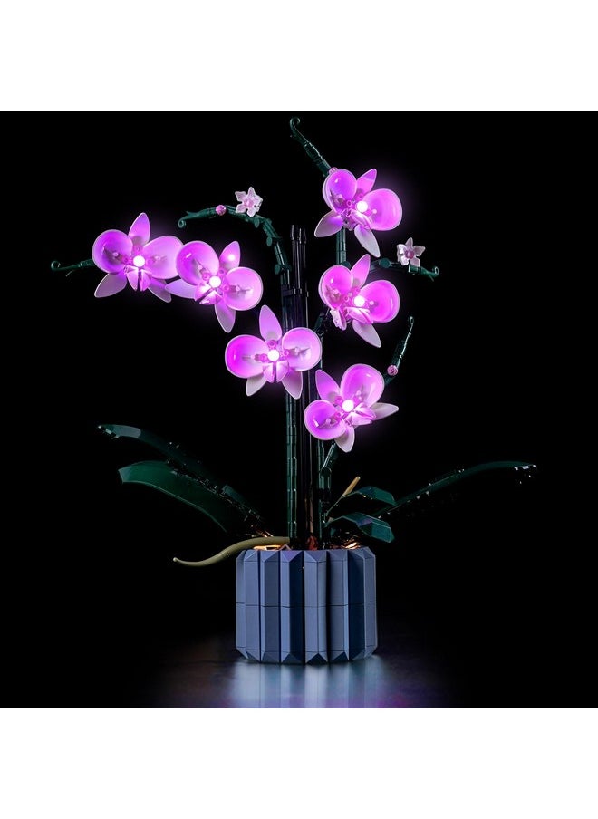 Led Light Set Compatible With 10311 Orchid Set, Pink Lighting Compatible With Orchid Set (No Model), Creative Diy Decor Orchid Flower Light Kit (Only Lights)