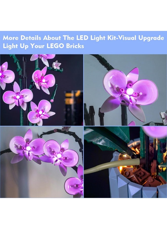 Led Light Set Compatible With 10311 Orchid Set, Pink Lighting Compatible With Orchid Set (No Model), Creative Diy Decor Orchid Flower Light Kit (Only Lights)