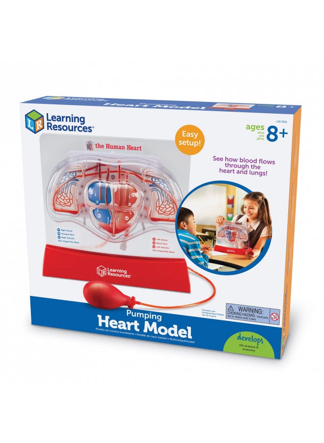 Learning Resources Pumping Heart Model - 1 Piece, Grades 3+ | Ages 8+ Educational Science Kit, Science Education Supplies, Science Teaching Supplies