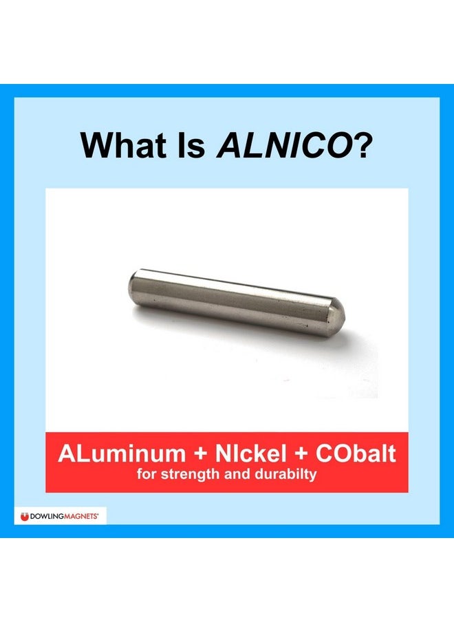 - 731013 Alnico Cow Magnet