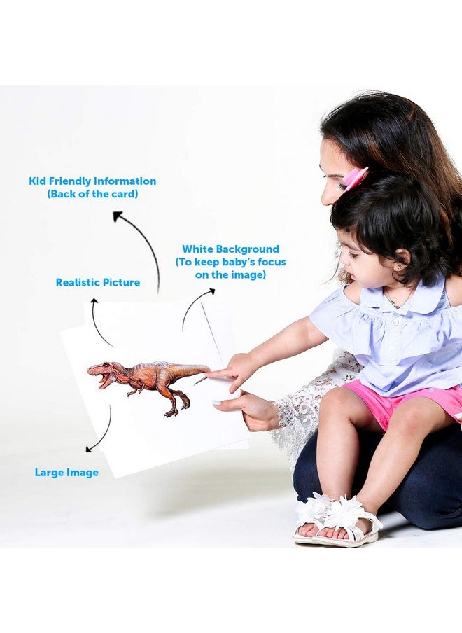 Quantum Flash Cards, Farm Animals - Educational Flashcard Set For Toddlers And Kids (8 Months To 8 Years) For Brain Development