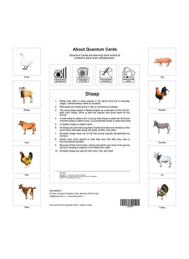Quantum Flash Cards, Farm Animals - Educational Flashcard Set For Toddlers And Kids (8 Months To 8 Years) For Brain Development