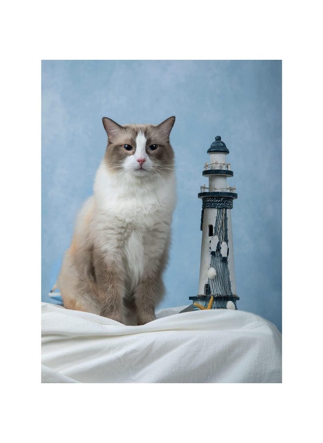 8X8Ft/2.5X2.5M Blue Backdrop Texture Baby Blue Portrait Photo Shoot Studio Props