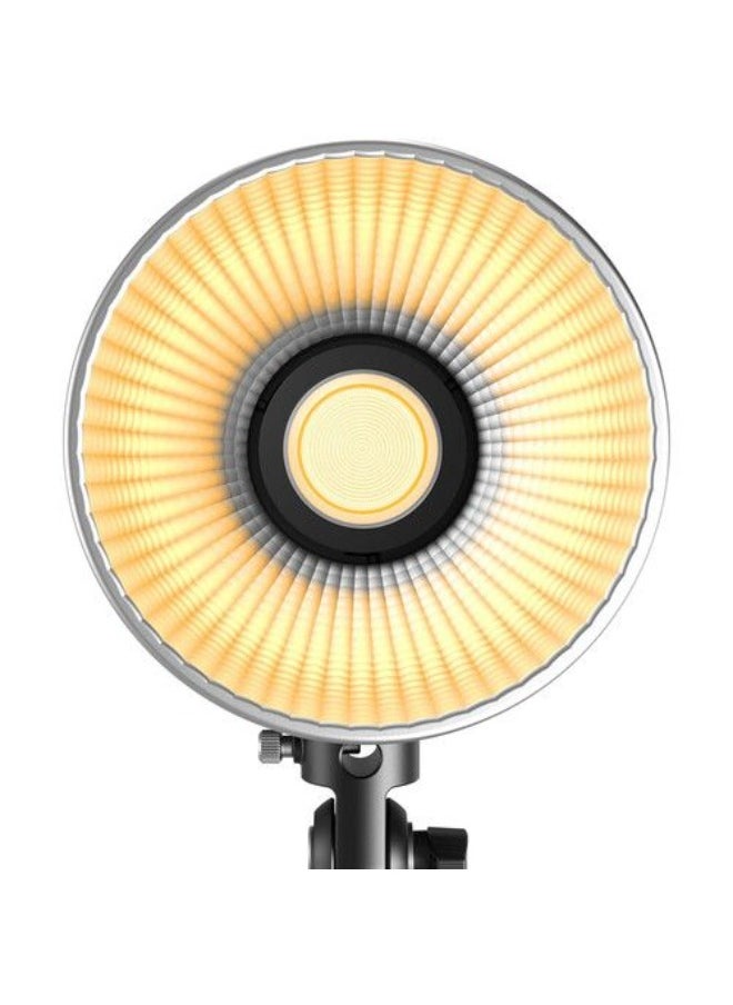 SmallRig RC 100B COB LED Video Light (Standard Version) 4893