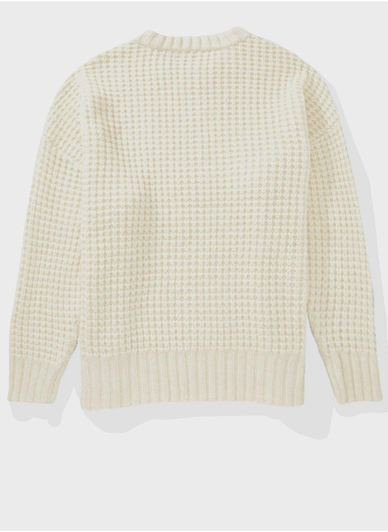 Crew Neck Knitted Sweater