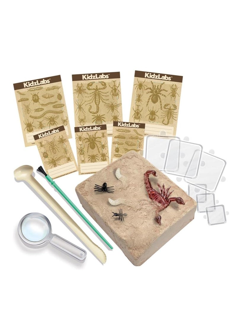 KidzLabs-Creepy Crawlies Digging Kit, Mixed Colours