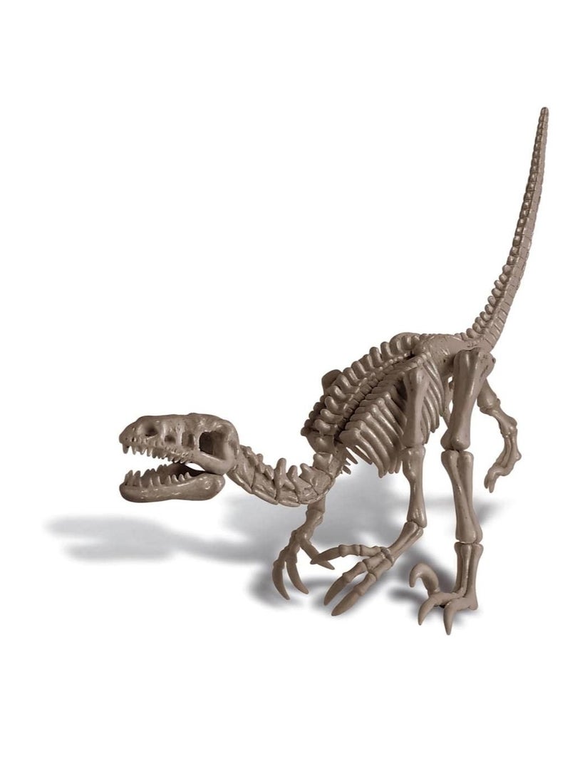 Kidz Labs Dig A Velociraptor Skeleton