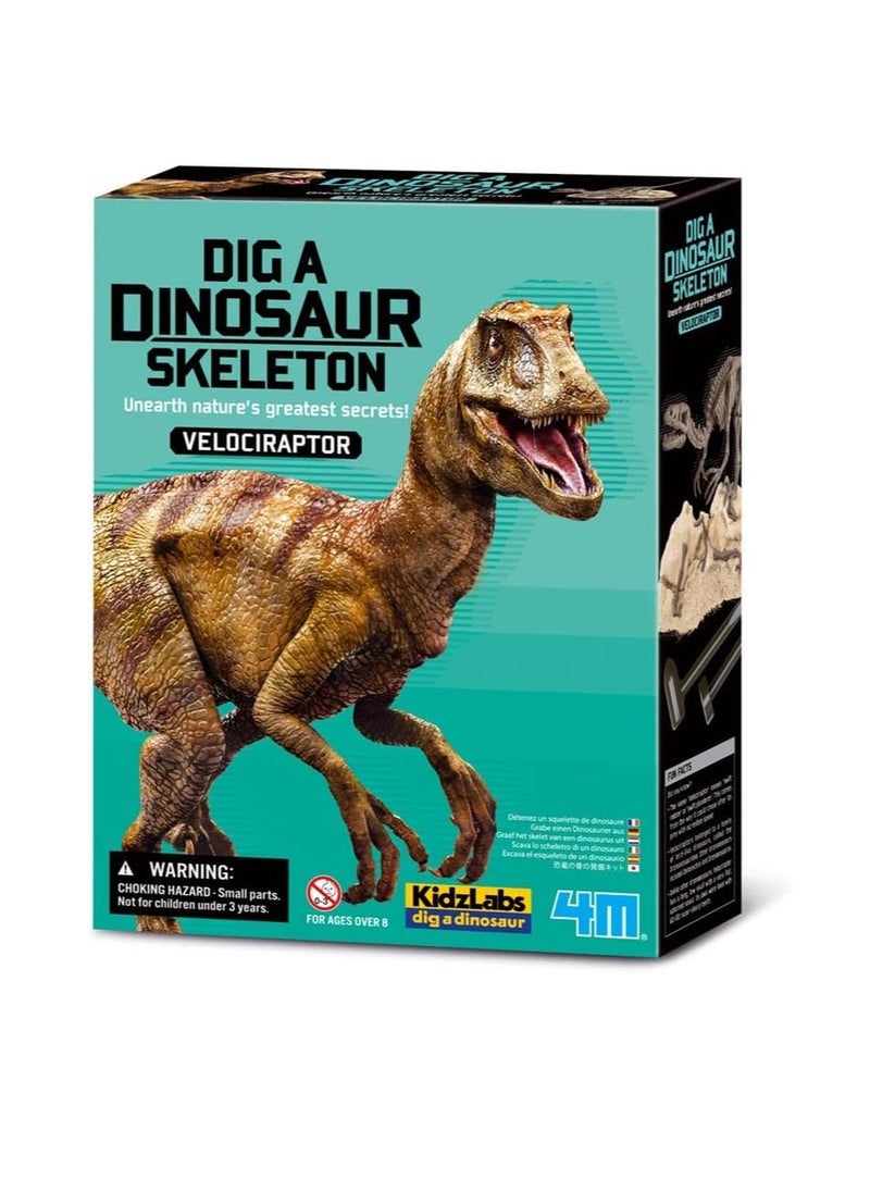 Kidz Labs Dig A Velociraptor Skeleton