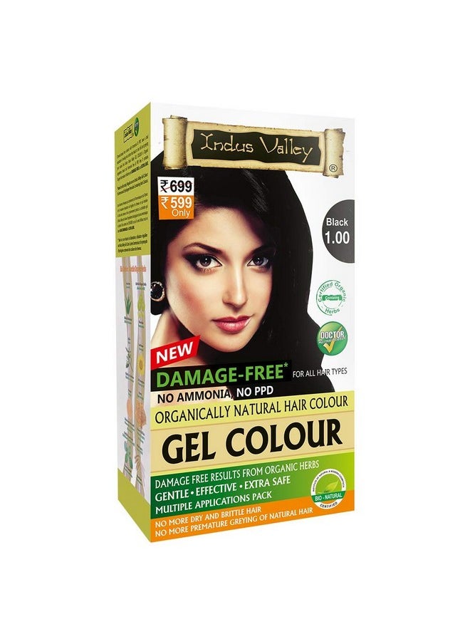 Damage Free Natural Gel Hair Colour Women | Ammonia & Ppd Free Organic Hair Colour With 100% Grey Coverage, Long Lasting Conditioning Hair Color | Black 1.00 - Pack Of 2 (2X220 = 400 Ml)