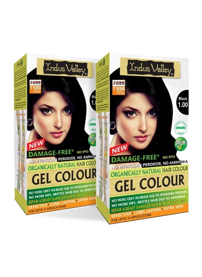 Damage Free Natural Gel Hair Colour Women | Ammonia & Ppd Free Organic Hair Colour With 100% Grey Coverage, Long Lasting Conditioning Hair Color | Black 1.00 - Pack Of 2 (2X220 = 400 Ml)