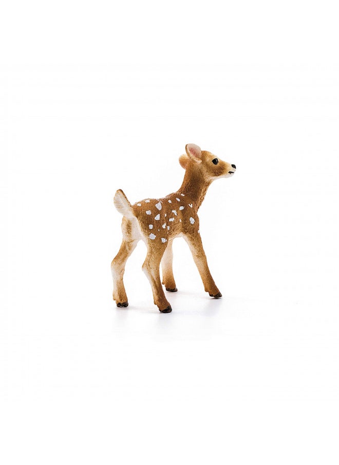 Schleich Wild Life Realistic White-Tailed Fawn Figurine - Authentic and Highly Detailed Wild Animal Toy, Durable for Education and Fun Play for Kids, Perfect for Boys and Girls, Ages 3+