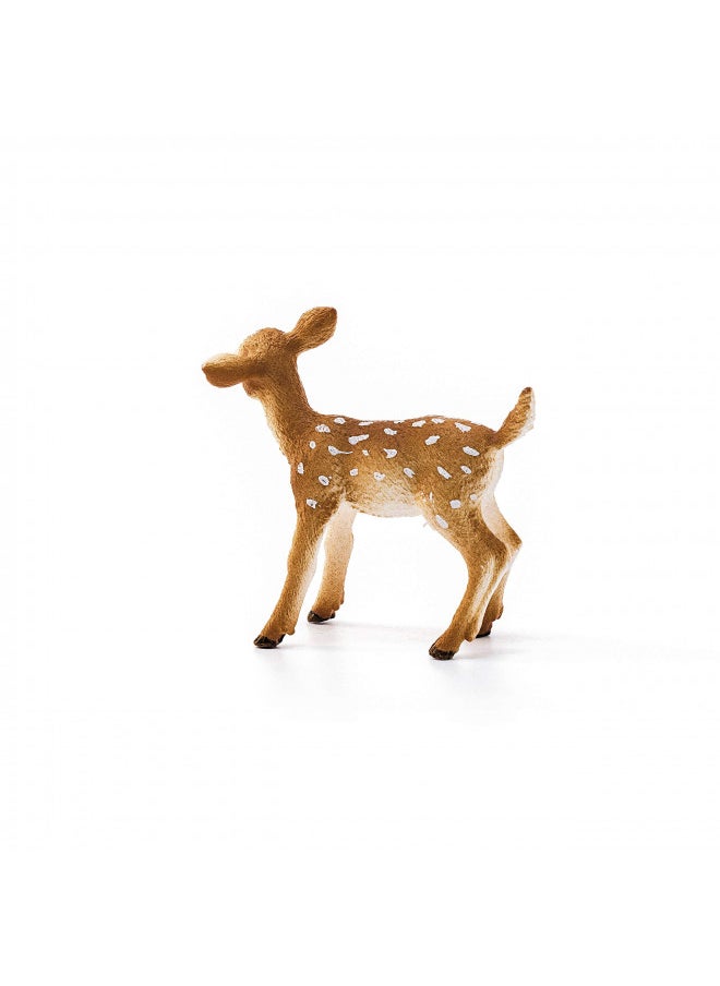 Schleich Wild Life Realistic White-Tailed Fawn Figurine - Authentic and Highly Detailed Wild Animal Toy, Durable for Education and Fun Play for Kids, Perfect for Boys and Girls, Ages 3+